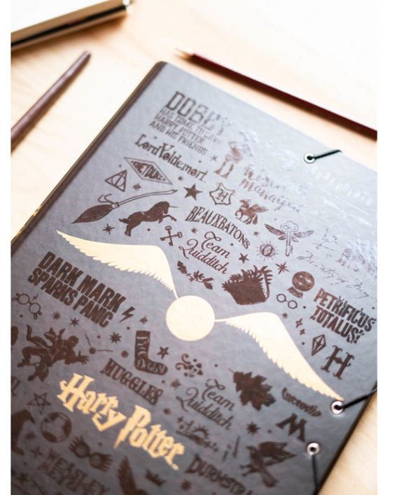 Carpeta-solapas-harry-potter-3