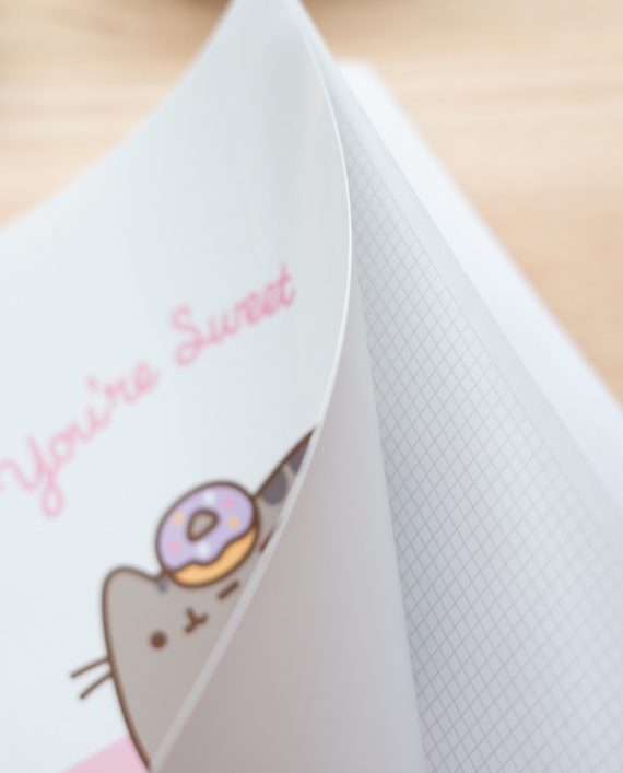 cuaderno-pusheen-tapa-polipropileno-rose-collection